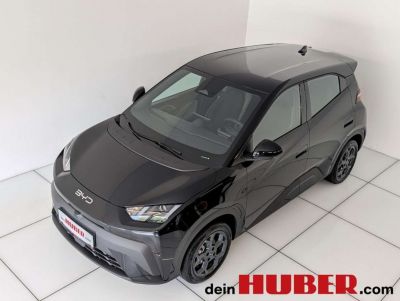 BYD Dolphin Neuwagen