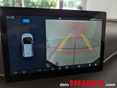 BYD Dolphin Neuwagen