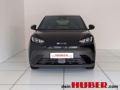 BYD Dolphin Neuwagen