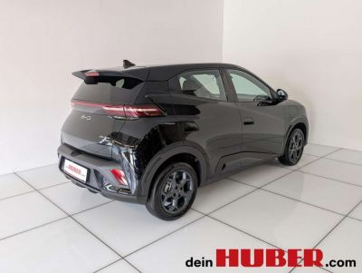 BYD Dolphin Neuwagen