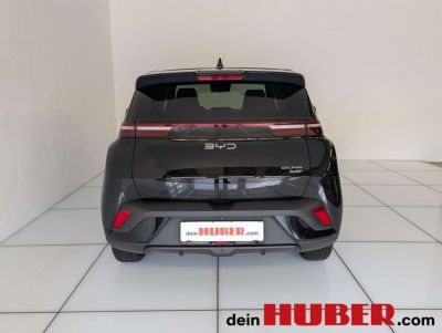 BYD Dolphin Neuwagen