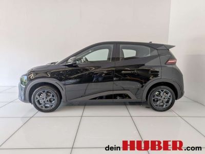 BYD Dolphin Neuwagen