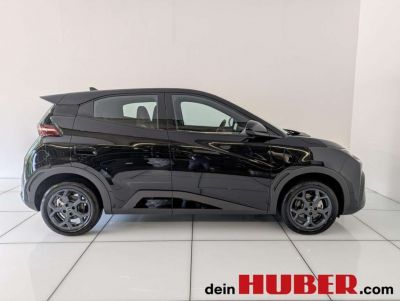 BYD Dolphin Neuwagen