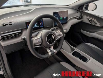 BYD Dolphin Neuwagen