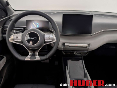 BYD Dolphin Neuwagen BYD Dolphin Neuwagen