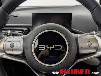 BYD Dolphin Neuwagen BYD Dolphin Neuwagen