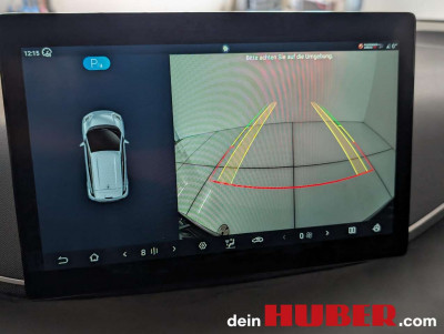 BYD Dolphin Neuwagen BYD Dolphin Neuwagen