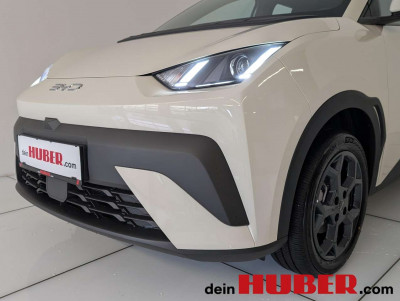 BYD Dolphin Neuwagen BYD Dolphin Neuwagen