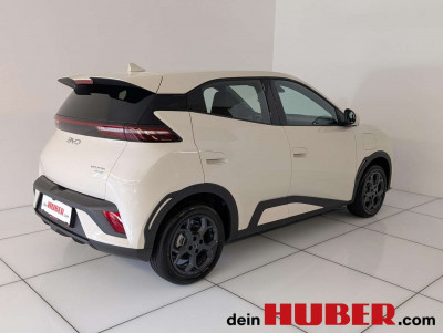 BYD Dolphin Neuwagen BYD Dolphin Neuwagen