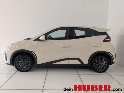 BYD Dolphin Neuwagen BYD Dolphin Neuwagen