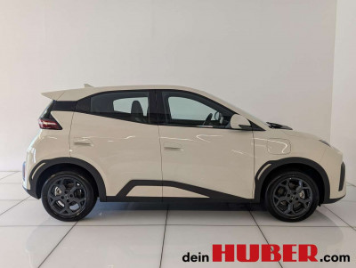 BYD Dolphin Neuwagen BYD Dolphin Neuwagen