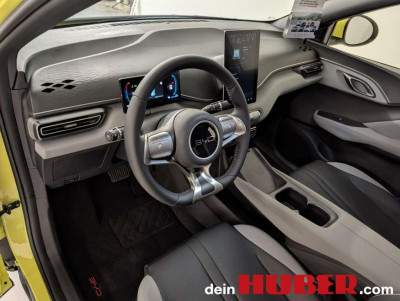 BYD Dolphin Surf Neuwagen