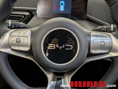 BYD Dolphin Surf Neuwagen