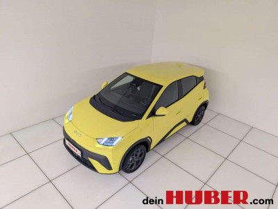 BYD Dolphin Surf Neuwagen