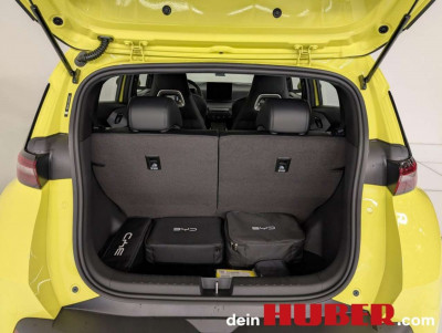 BYD Dolphin Surf Neuwagen