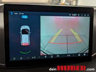 BYD Dolphin Surf Neuwagen