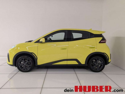 BYD Dolphin Surf Neuwagen