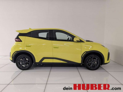 BYD Dolphin Surf Neuwagen