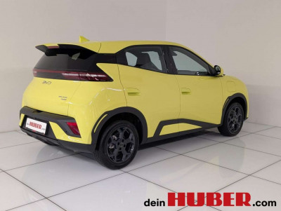 BYD Dolphin Surf Neuwagen