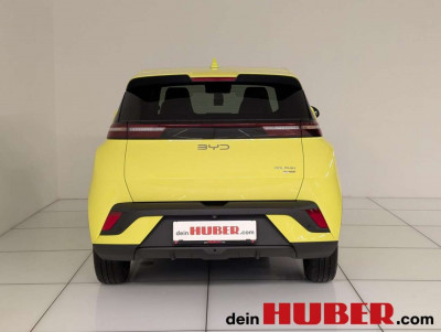 BYD Dolphin Surf Neuwagen