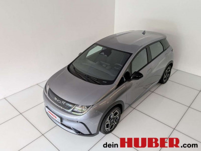 BYD Dolphin Neuwagen