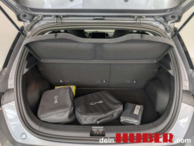BYD Dolphin Neuwagen