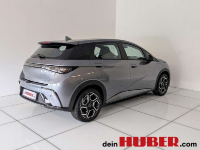 BYD Dolphin Neuwagen
