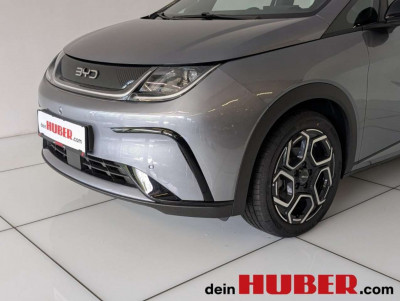 BYD Dolphin Neuwagen