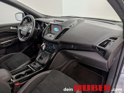 Ford Kuga Gebrauchtwagen Ford Kuga Gebrauchtwagen