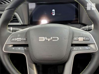 BYD Atto 2 Vorführwagen