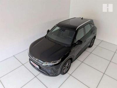 BYD Atto 2 Vorführwagen