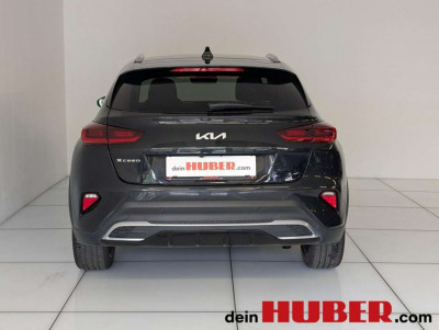 KIA XCeed Gebrauchtwagen KIA XCeed Gebrauchtwagen