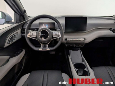 BYD Dolphin G Vorführwagen BYD Dolphin G Vorführwagen