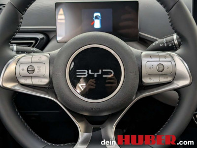 BYD Dolphin G Vorführwagen BYD Dolphin G Vorführwagen