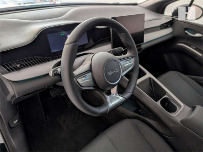 BYD Dolphin G Vorführwagen BYD Dolphin G Vorführwagen