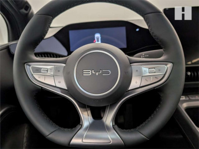 BYD Dolphin G Vorführwagen BYD Dolphin G Vorführwagen