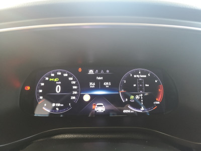 Renault Arkana Gebrauchtwagen