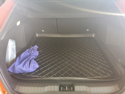 Renault Arkana Gebrauchtwagen