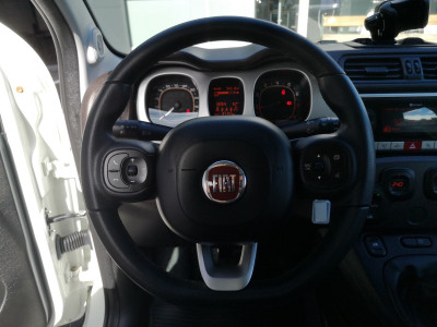 Fiat Panda Gebrauchtwagen