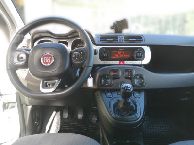 Fiat Panda Gebrauchtwagen