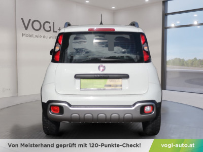 Fiat Panda Gebrauchtwagen
