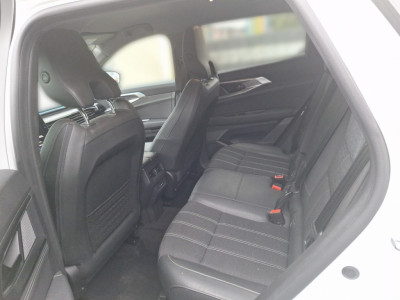 Renault Austral Gebrauchtwagen
