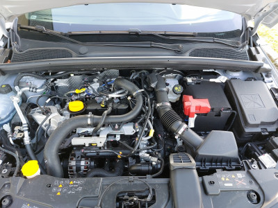 Renault Clio Vorführwagen