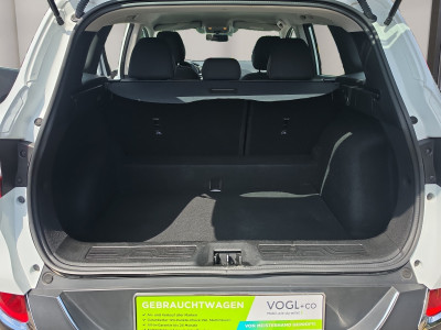 Renault Kadjar Gebrauchtwagen