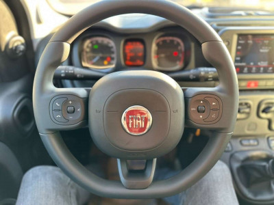Fiat Panda Vorführwagen