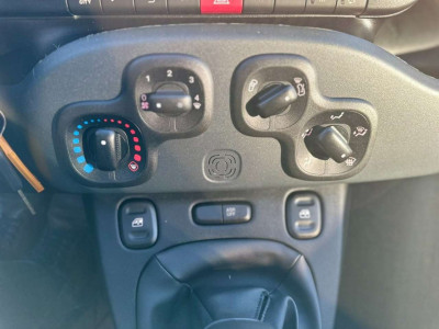 Fiat Panda Vorführwagen
