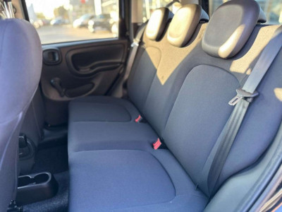 Fiat Panda Vorführwagen