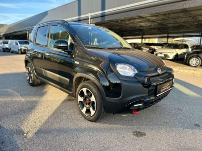 Fiat Panda Vorführwagen