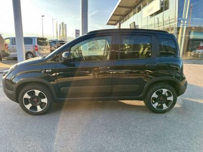 Fiat Panda Vorführwagen