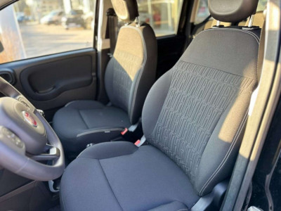 Fiat Panda Vorführwagen